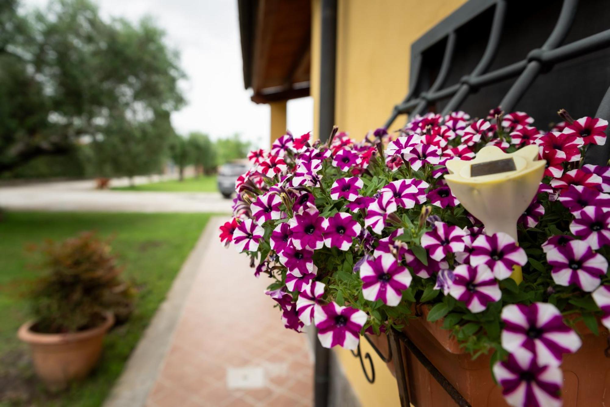 L'Antico Vigneto Hotell Marino Eksteriør bilde