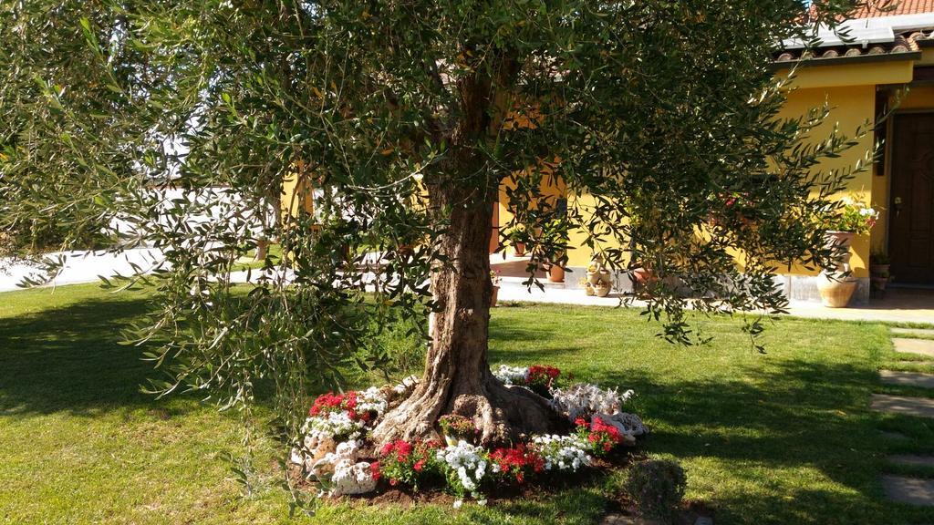 L'Antico Vigneto Hotell Marino Eksteriør bilde